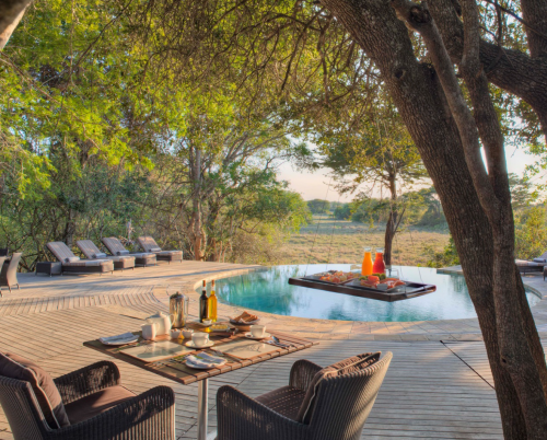 Phinda Forest Lodge