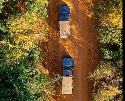 Leopard Safaris