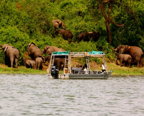 Bush Lodge