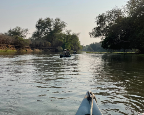 Kiambi Canoeing Safaris