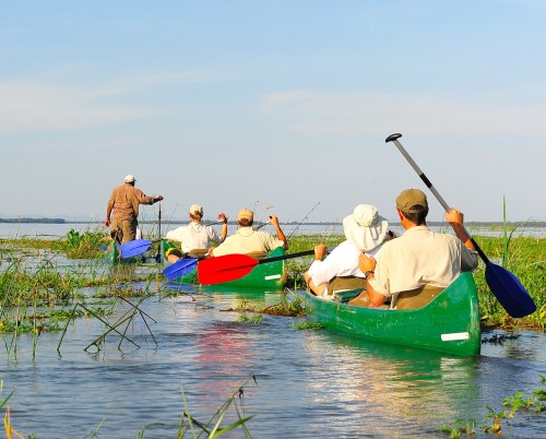 Kiambi Canoeing Safaris