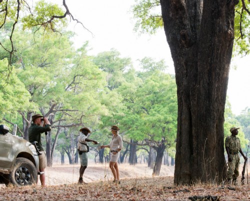 Kaingo Camp