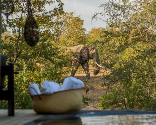 Nsala Wilderness Camp