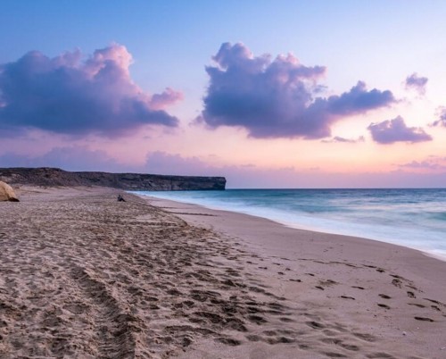 Ras Al Jinz Turtle Reserve