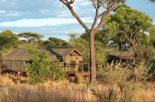 Tlouwana Camp