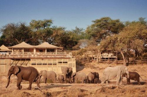 Belmond Savute Elephant Lodge