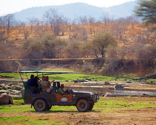 Ruaha River Lodge