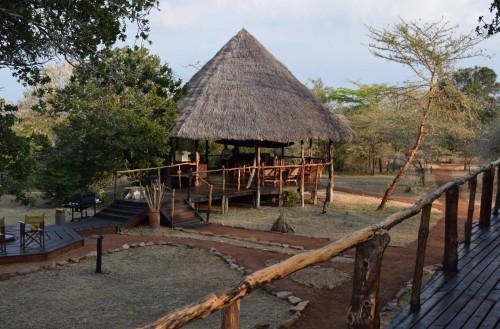Selous Impala Camp