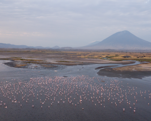 Lake Natron Camp