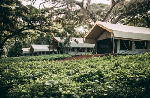 Ngorongoro Tortilis Camp