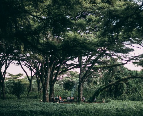 Ngorongoro Tortilis Camp