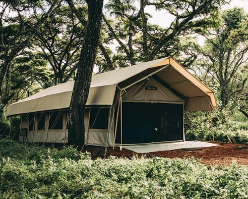 Ngorongoro Tortilis Camp