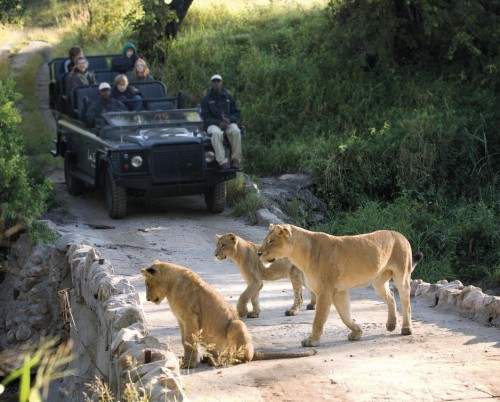 Lion Sands Tinga Lodge