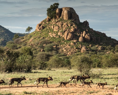 Laikipia Wilderness