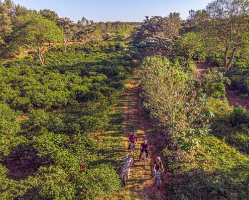 Acacia Farm Lodge