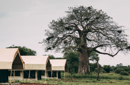 Tarangire Tortilis Camp