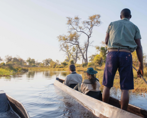 North Island Okavango