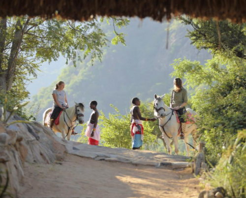 Sarara Treehouses