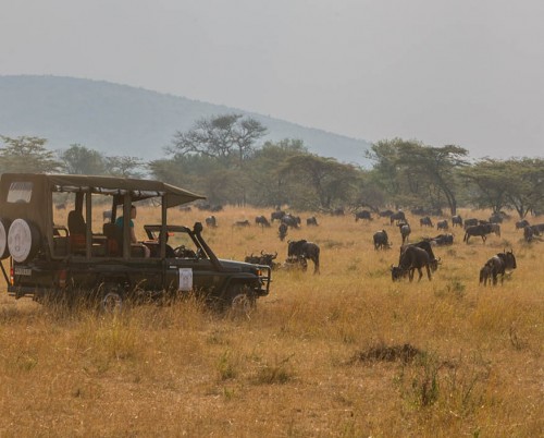 Nasikia Mobile Migration Camp