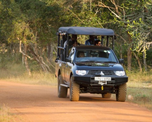 Mahoora Camp Wilpattu