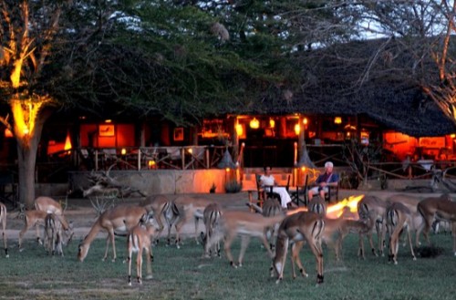 Satao Camp