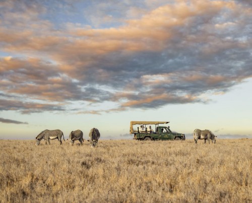 Lewa Safari Camp