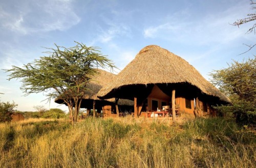 Lewa Safari Camp