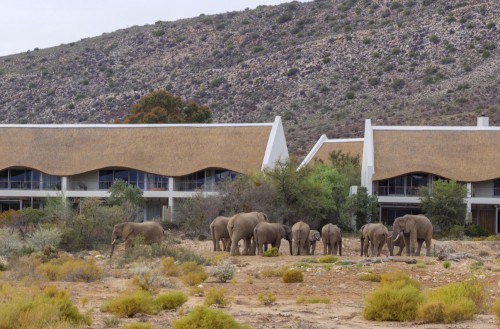 Sanbona Gondwana Family Lodge