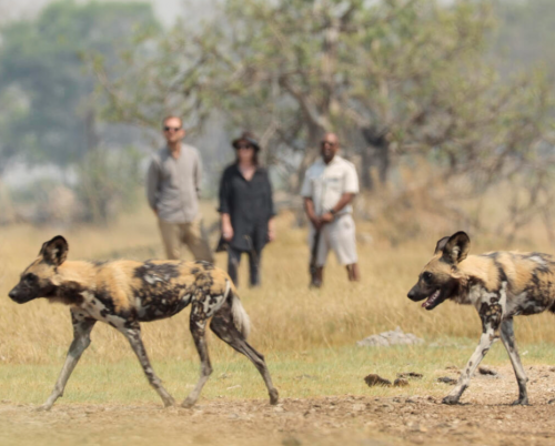 Shinde Footsteps