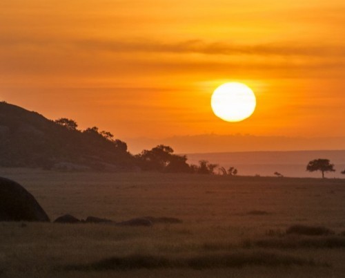 Serengeti Safari Camp