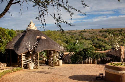 Amakhala Safari Lodge