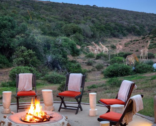 Amakhala Safari Lodge