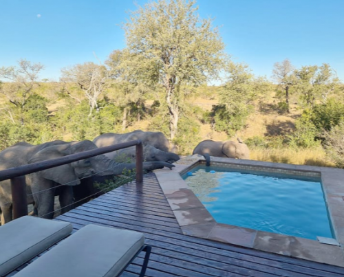 Idube Game Lodge