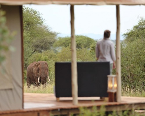 Tarangire Ndovu Tented Lodge