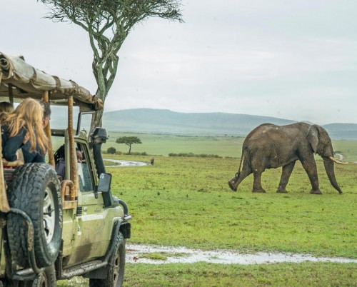 Basecamp Masai Mara