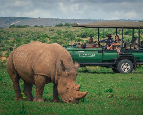 Shamwari Bayethe Lodge