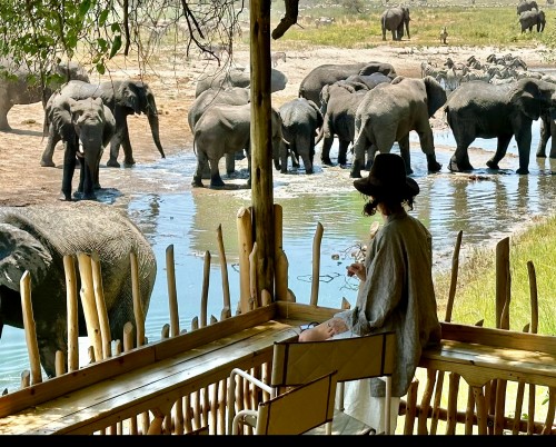 Moela Safari Lodge