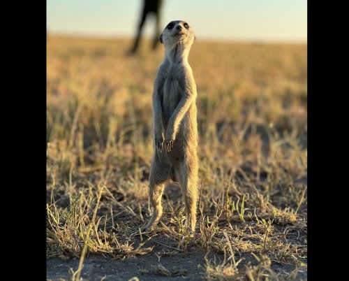 Moela Safari Lodge