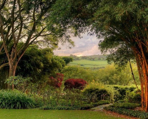 Plantation Lodge