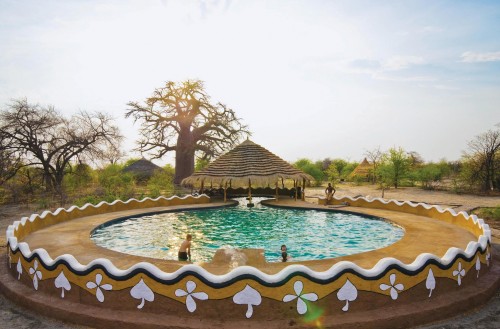 Planet Baobab
