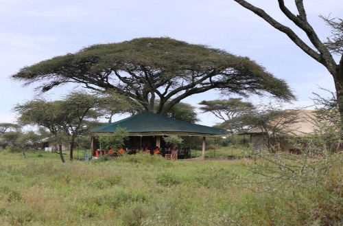 Nasikia Mobile Migration Camp (Jun - Oct)
