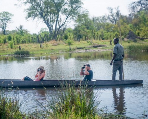 Bushways Mobile Safari - Moremi Game Reserve