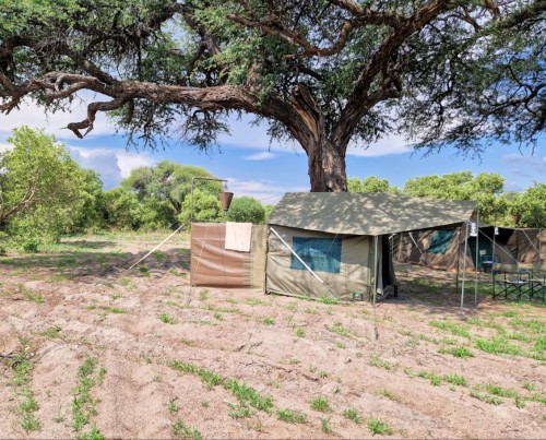 Bushways Mobile Safari - Savuti, Southern Chobe National Park