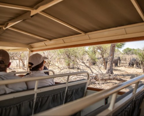Bushways Mobile Safari - Savuti, Southern Chobe National Park