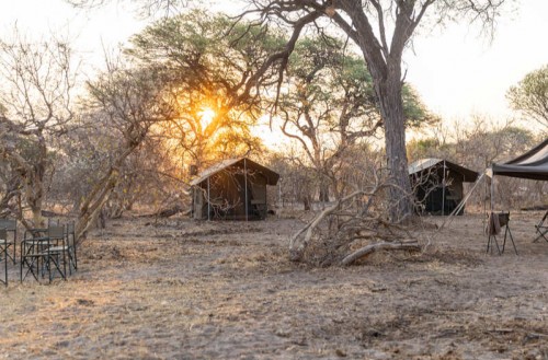 Bushways Mobile Safari - Chobe Floodplain, Northern Chobe National Park