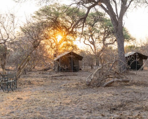 Bushways Mobile Safari - Chobe Floodplain, Northern Chobe National Park