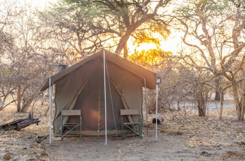 Bushways Mobile Safari - Moremi Game Reserve