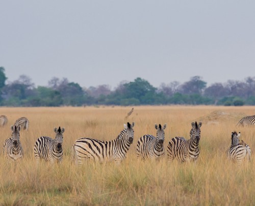 Karangoma Camp