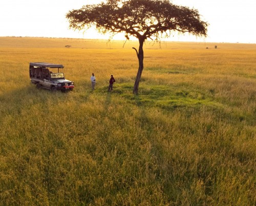 Nasikia KasKaz Mara Camp