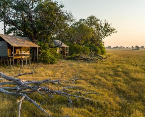 Mokolwane Camp